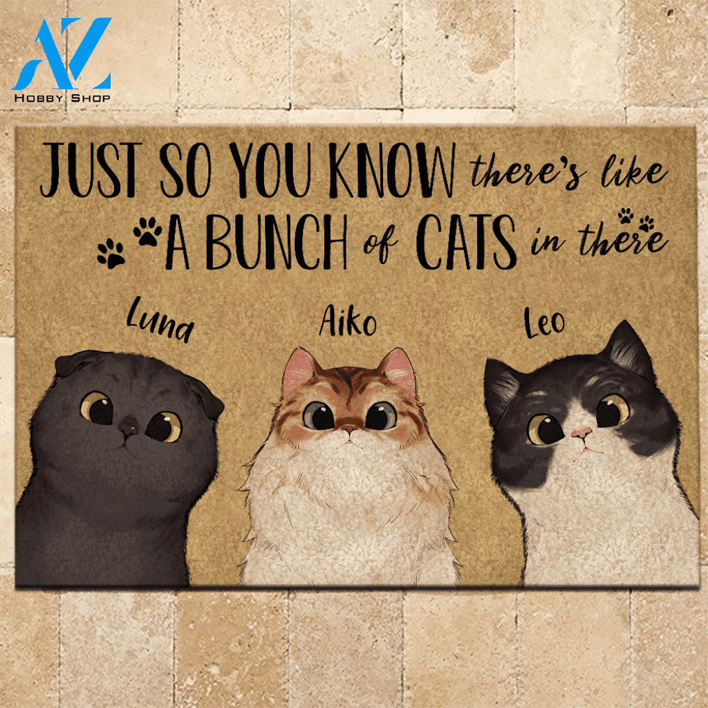 Cat Doormat Personalized Name And Breed Just So You Know A Bunch Of Cats In There | WELCOME MAT | HOUSE WARMING GIFT