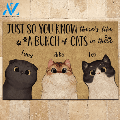 Cat Doormat Personalized Name And Breed Just So You Know A Bunch Of Cats In There | WELCOME MAT | HOUSE WARMING GIFT