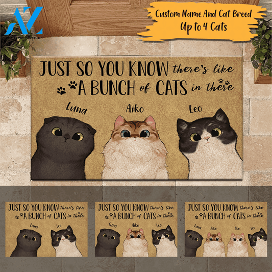 Cat Doormat Personalized Name And Breed Just So You Know A Bunch Of Cats In There | WELCOME MAT | HOUSE WARMING GIFT