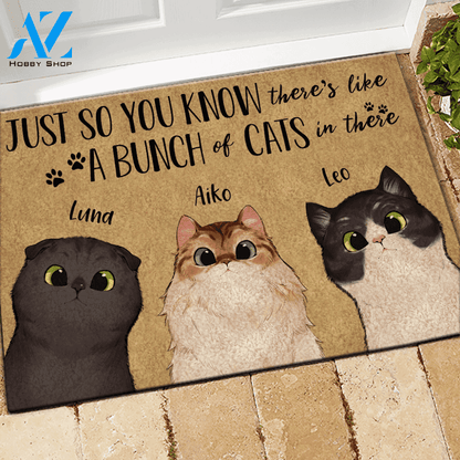 Cat Doormat Personalized Name And Breed Just So You Know A Bunch Of Cats In There | WELCOME MAT | HOUSE WARMING GIFT