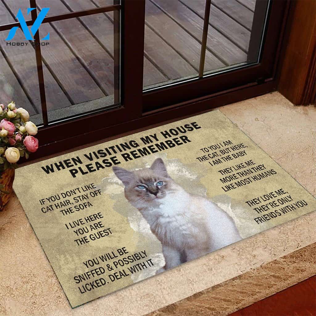 Cat Rules Doormat 07 | Welcome Mat | House Warming Gift