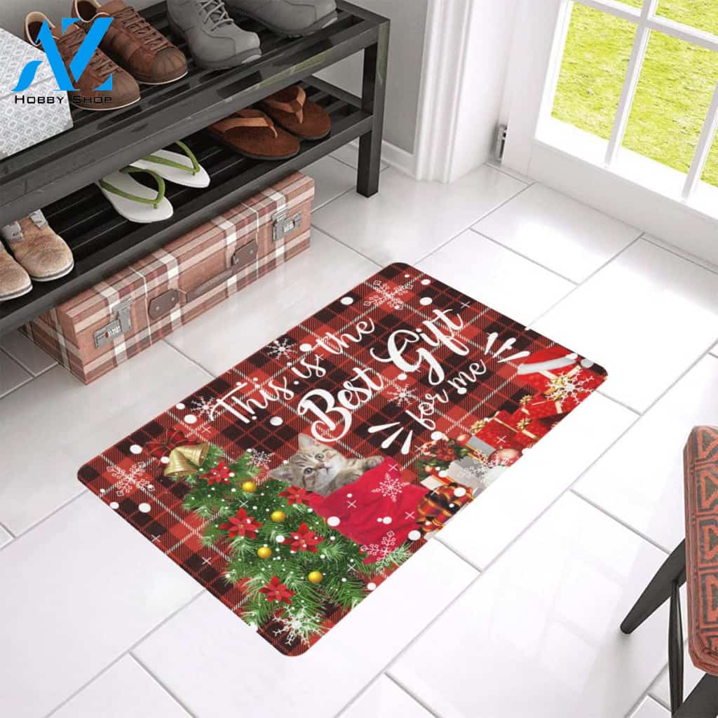Cat This Is The Best Gift Doormat Indoor And Outdoor Mat Entrance Rug Sweet Home Decor Housewarming Gift Gift For Friend Family Stem Feminist