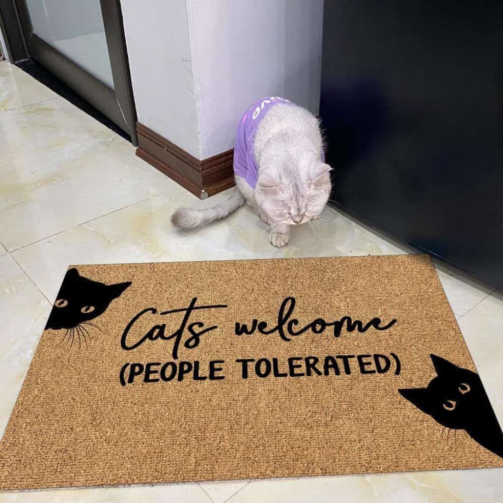Cat Welcome Doormat, Gift Ideas For Cat Lovers, Housewarming Gift