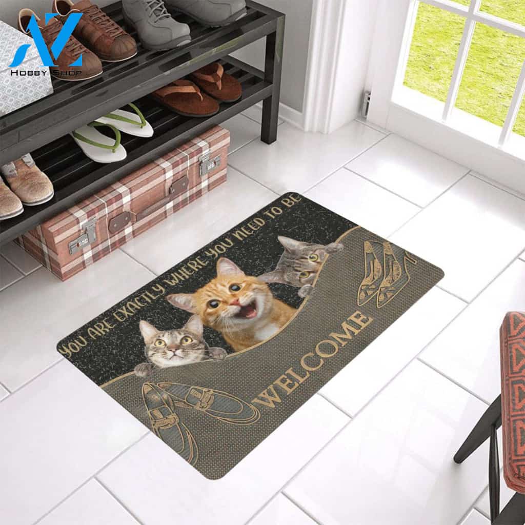 Cat You Are Exactly Where You Need To Be Doormat Indoor And Outdoor Mat Entrance Rug Sweet Home Decor Housewarming Gift Gift For Friend Family Stem Feminist
