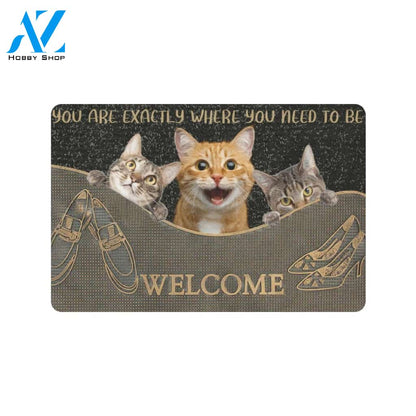 Cat You Are Exactly Where You Need To Be Doormat Indoor And Outdoor Mat Entrance Rug Sweet Home Decor Housewarming Gift Gift For Friend Family Stem Feminist