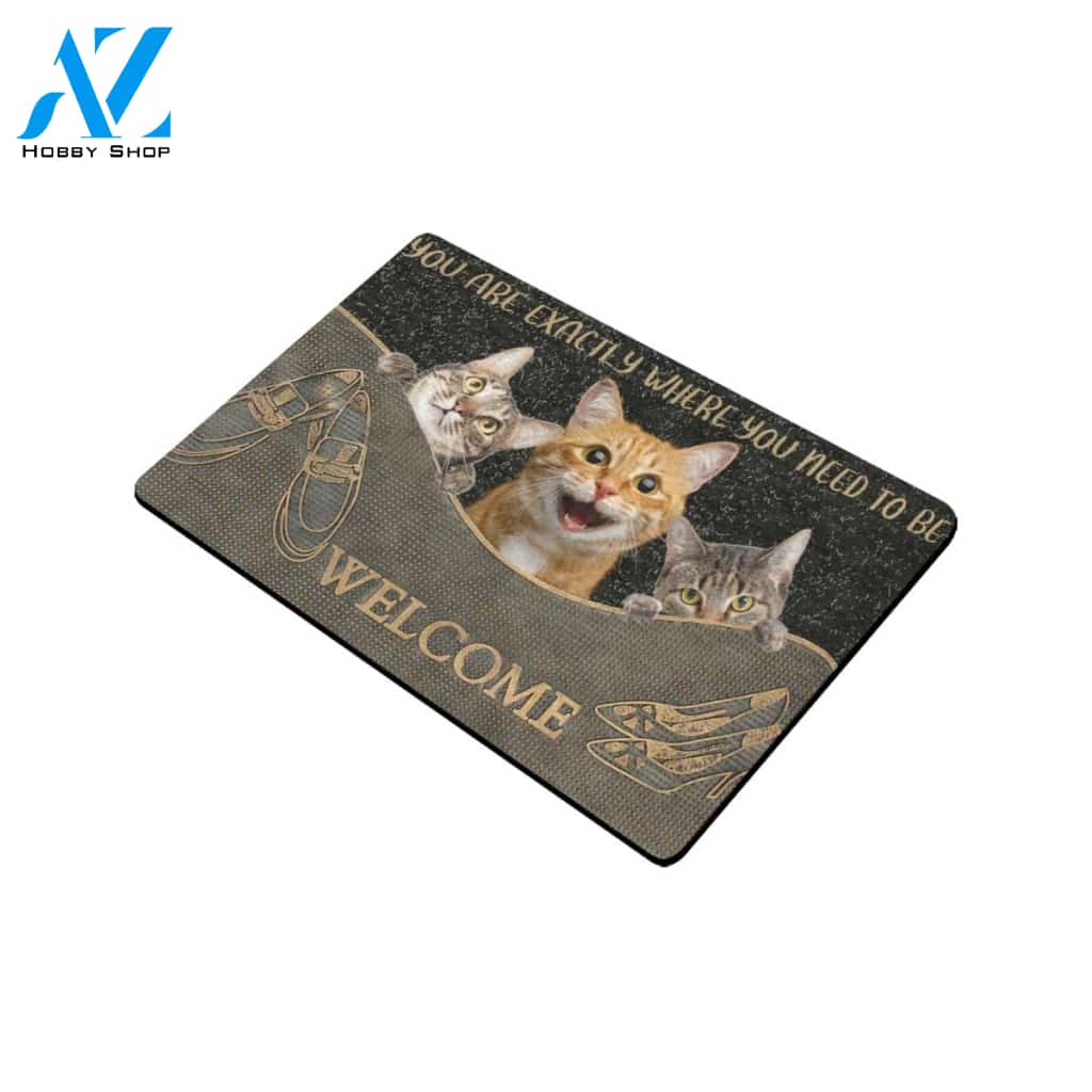 Cat You Are Exactly Where You Need To Be Doormat Indoor And Outdoor Mat Entrance Rug Sweet Home Decor Housewarming Gift Gift For Friend Family Stem Feminist