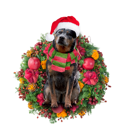 Godmerch- Ornament- Cattle Dog Christmas Ornament, Happy Christmas Ornament, Car Ornament