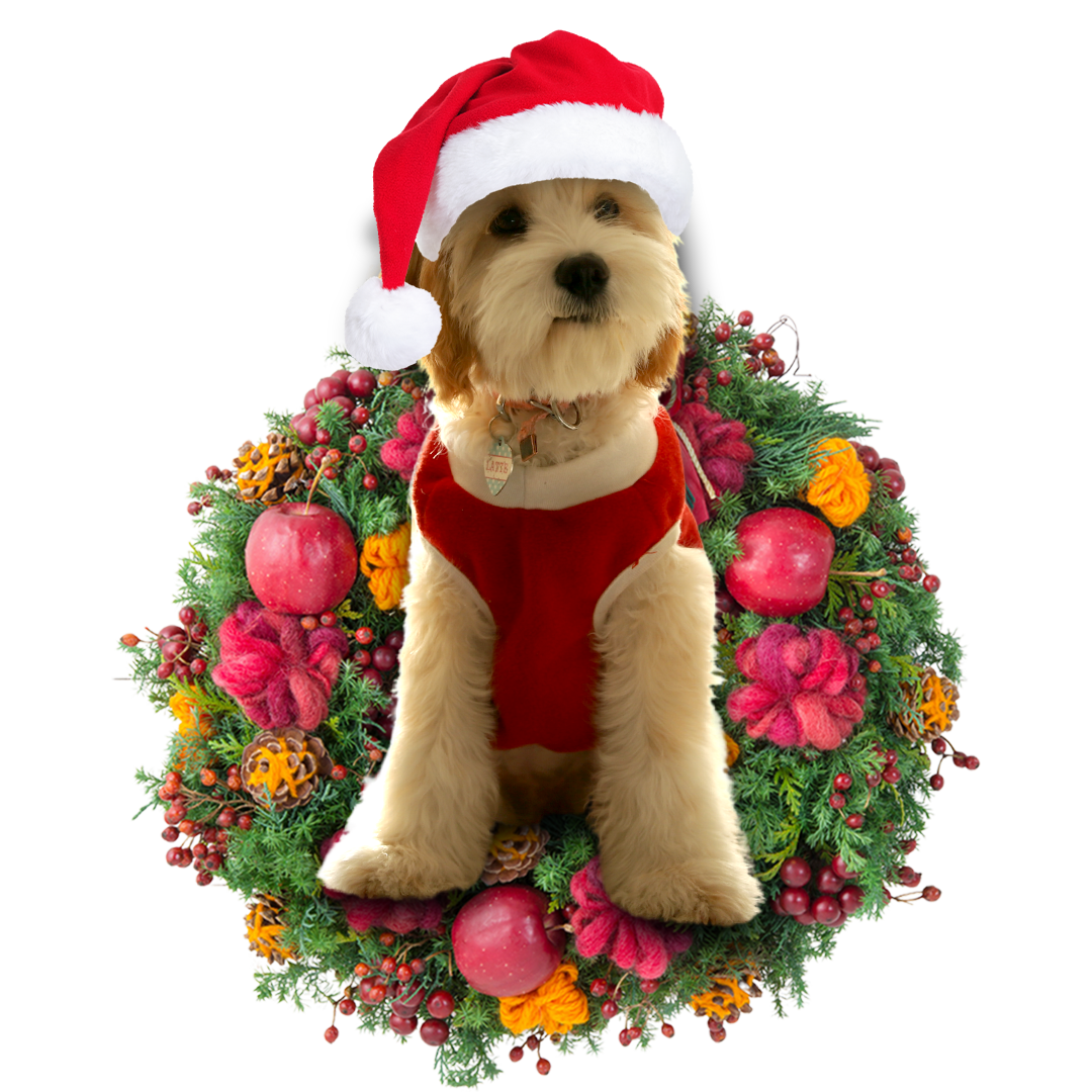 Godmerch- Ornament- Cavadoodle Christmas Ornament, Happy Christmas Ornament, Car Ornament
