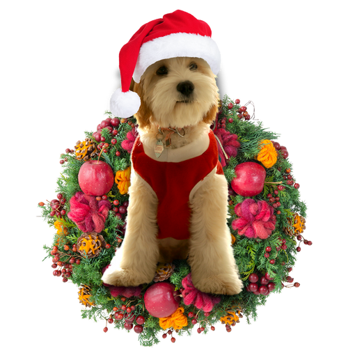 Godmerch- Ornament- Cavadoodle Christmas Ornament, Happy Christmas Ornament, Car Ornament