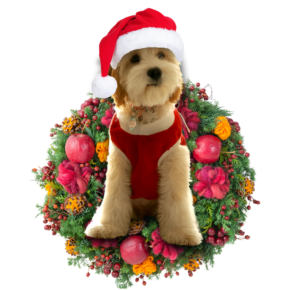 Godmerch- Ornament- Cavadoodle Christmas Ornament, Happy Christmas Ornament, Car Ornament