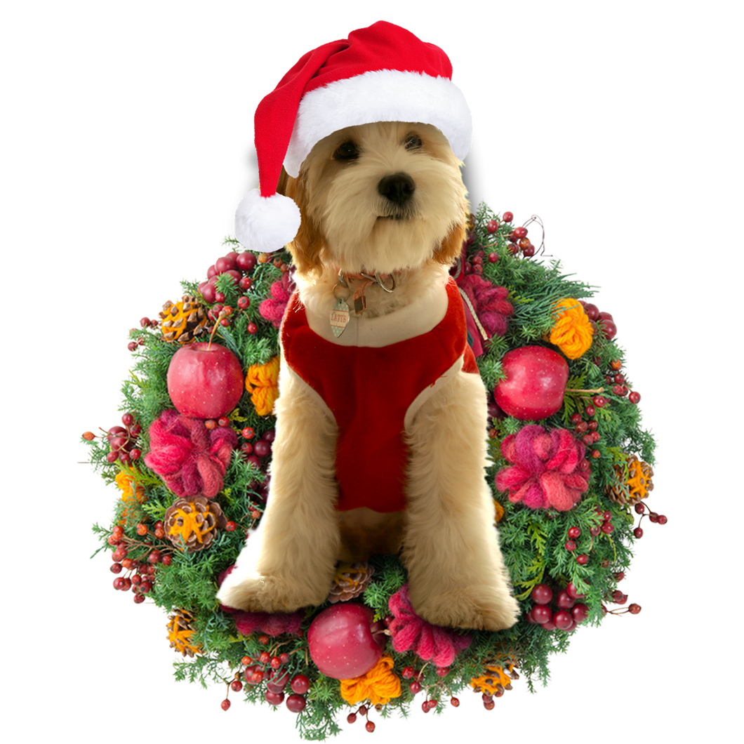 Godmerch- Ornament- Cavadoodle Christmas Ornament, Happy Christmas Ornament, Car Ornament