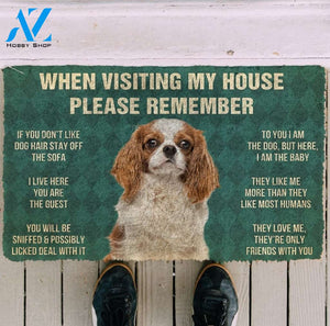 Cavalier king charles spaniel funny doormat