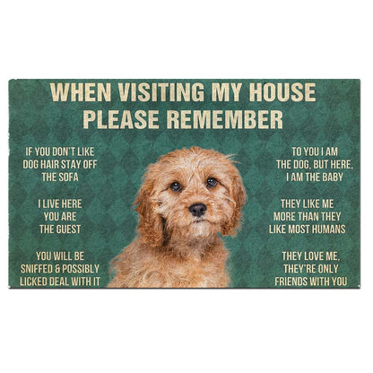 Cavoodle's Rules Doormat