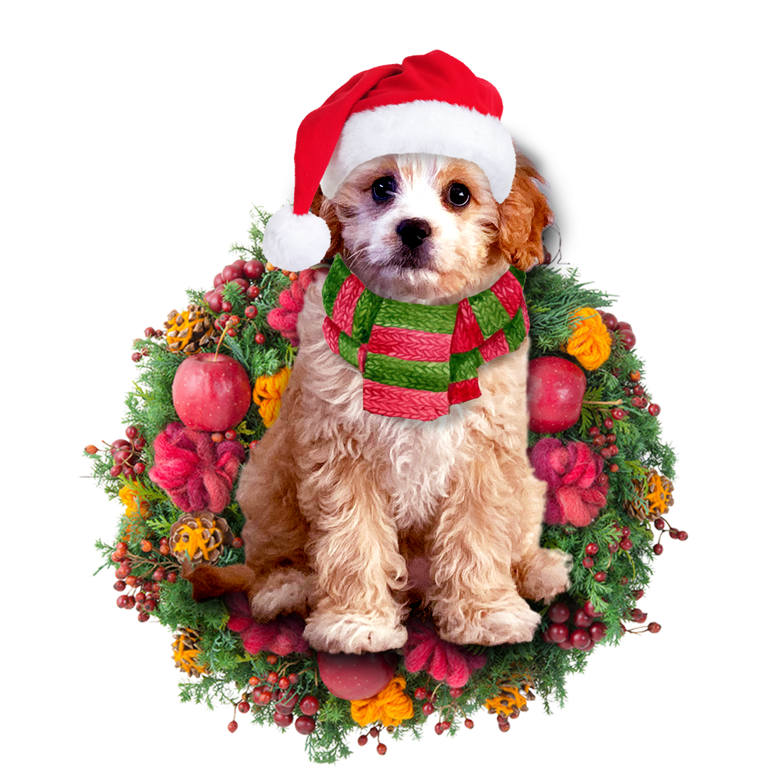 Godmerch- Ornament- Cavoodle Christmas Ornament, Happy Christmas Ornament, Car Ornament