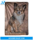 Chihuahua Blanket, Gift For Chihuahua Lover, Gift For Friend Family Home Decor Bedding Couch Sofa Soft And Comfy Cozy