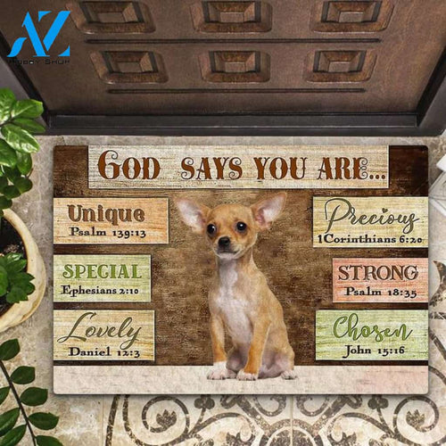 Chihuahua God Says You Are Doormat