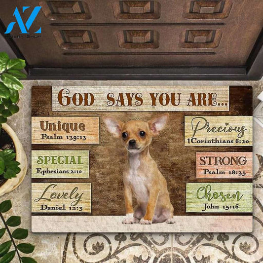 Chihuahua God Says You Are Doormat