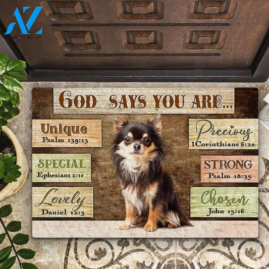Chihuahua God Says You Are Doormat