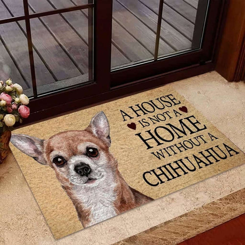 CHIHUAHUA HOME WITHOUT