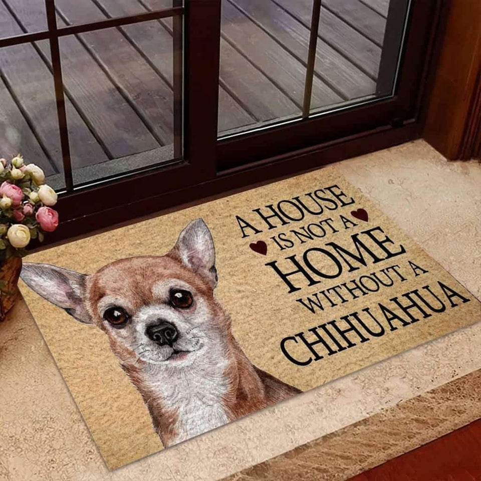 CHIHUAHUA HOME WITHOUT
