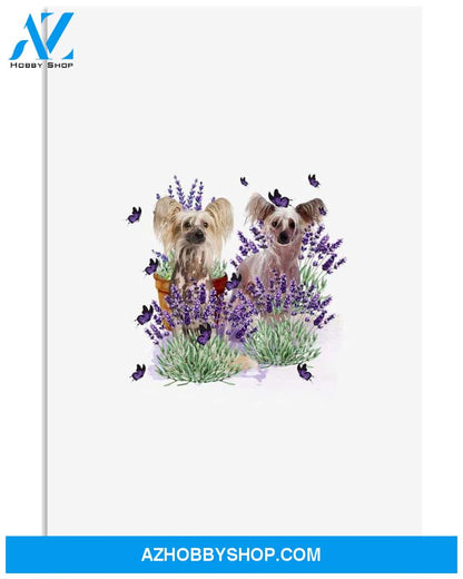 Chinese Crested With Lavender flower poster