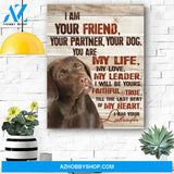 Chocolate Labrador Dogs Canvas Print Wall Art - Matte Canvas