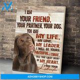 Chocolate Labrador Dogs Canvas Print Wall Art - Matte Canvas