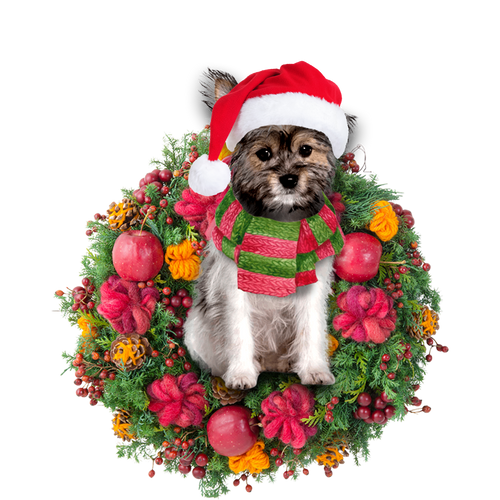 Godmerch- Ornament- Chorkie Christmas Ornament, Happy Christmas Ornament, Car Ornament