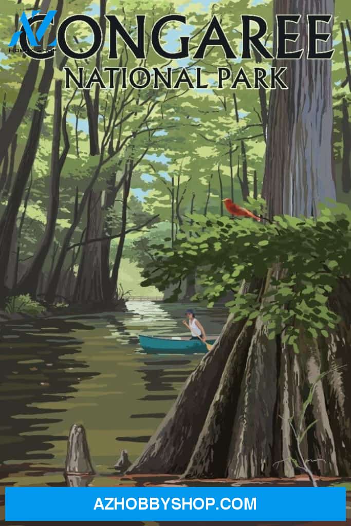 Congaree National Park South Carolina - River View