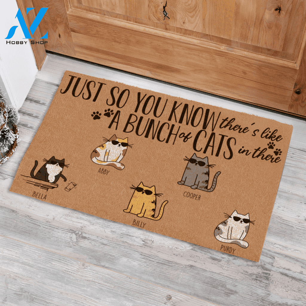 Cool Cat Just So You Know There's Like A Bunch Of Cat In There, Personalized Doormat TV