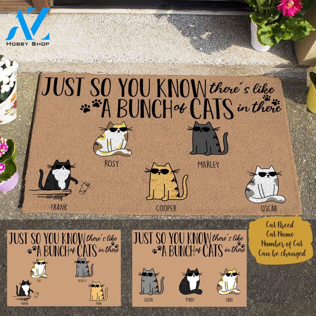 Cool Cat Just So You Know There's Like A Bunch Of Cat In There, Personalized Doormat TV