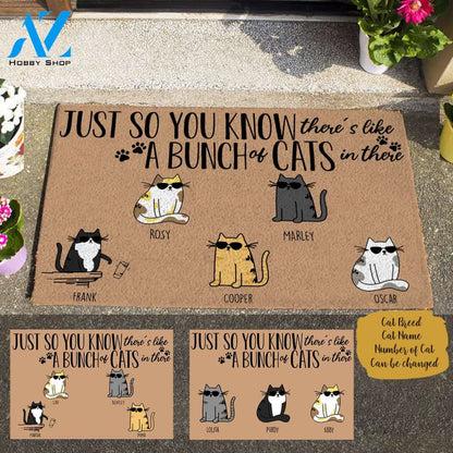 Cool Cat Just So You Know There's Like A Bunch Of Cat In There, Personalized Doormat TV