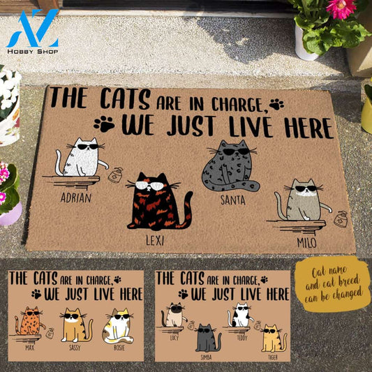 Cool Cat, The Cats Are In Charge, We Just Live Here Personalized Doormat HQ