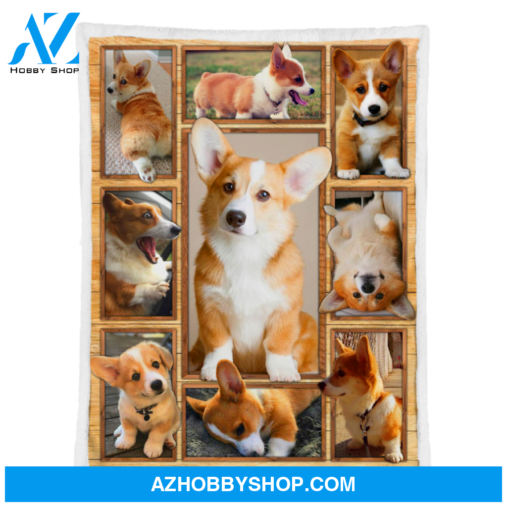 Corgi Blanket, Corgi 3D Dog Blanket Gift For Corgi Dog Lovers