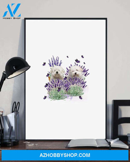 Coton De Tulear With Lavender flower poster