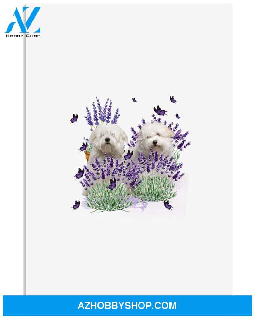 Coton De Tulear With Lavender flower poster