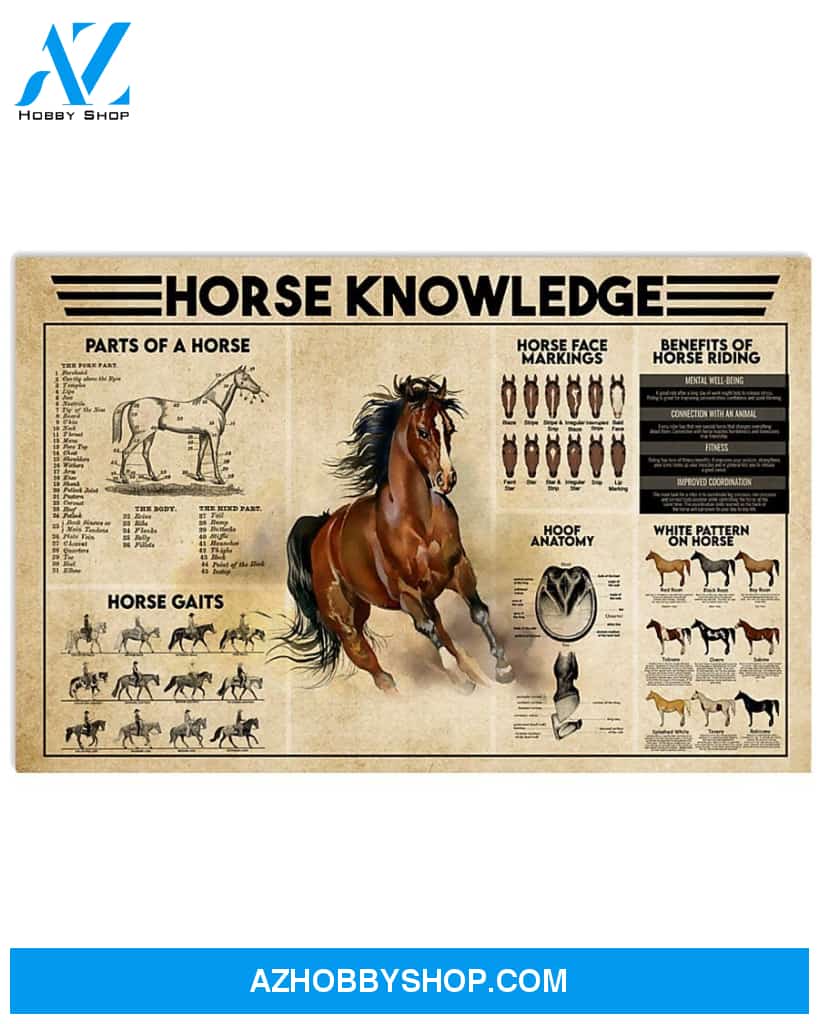 Country Girl Horse Knowledge Horizontal Canvas Decor Wall Art Prints