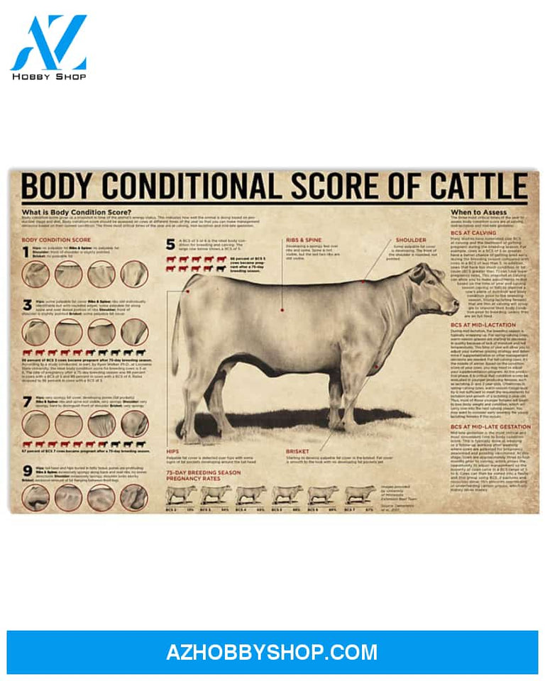 Cow Body Conditional Score Of Cattle Art Canvas, Wall Decor Visual Art