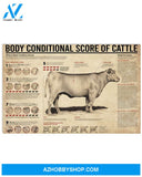 Cow Body Conditional Score Of Cattle Art Canvas, Wall Decor Visual Art
