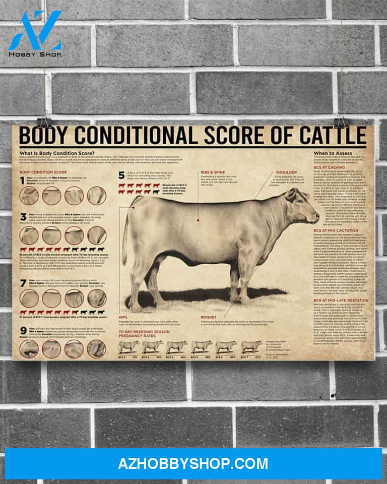 Cow Body Conditional Score Of Cattle Art Canvas, Wall Decor Visual Art