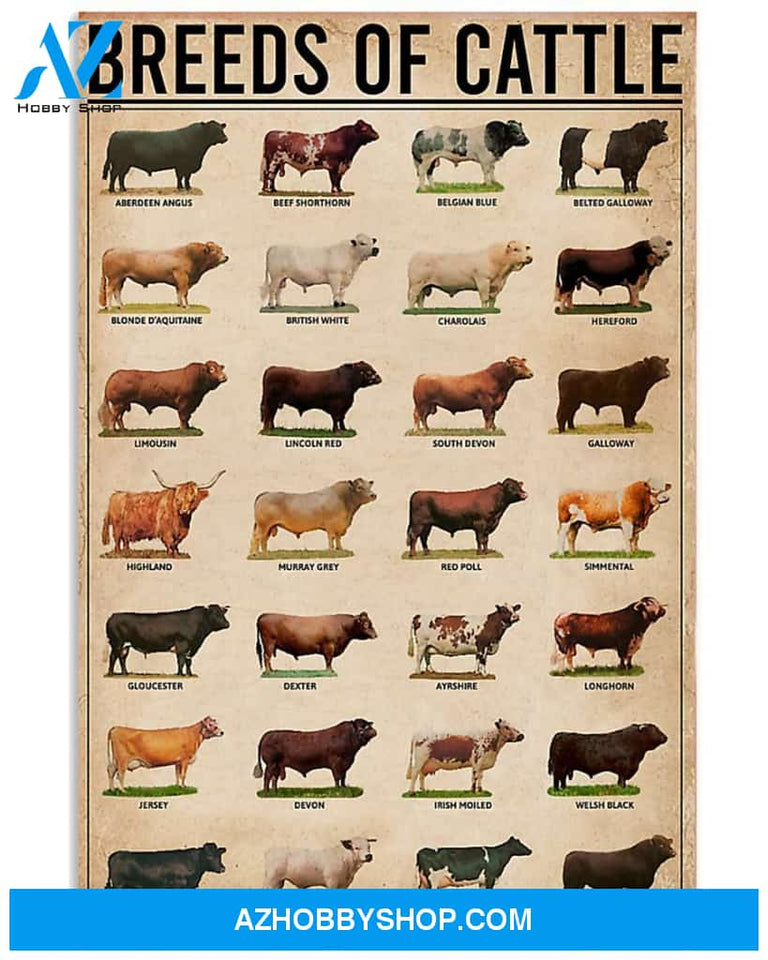 Cow Breeds Vertical Canvas - Wall Decor Visual Art