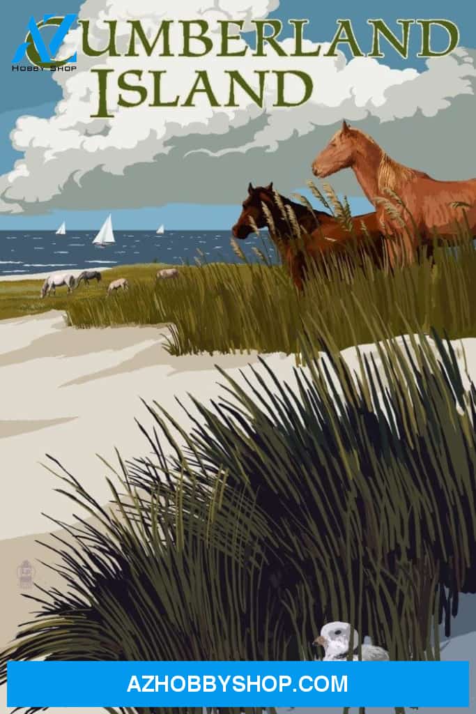 Cumberland Island Georgia - Horses And Dunes With Boats