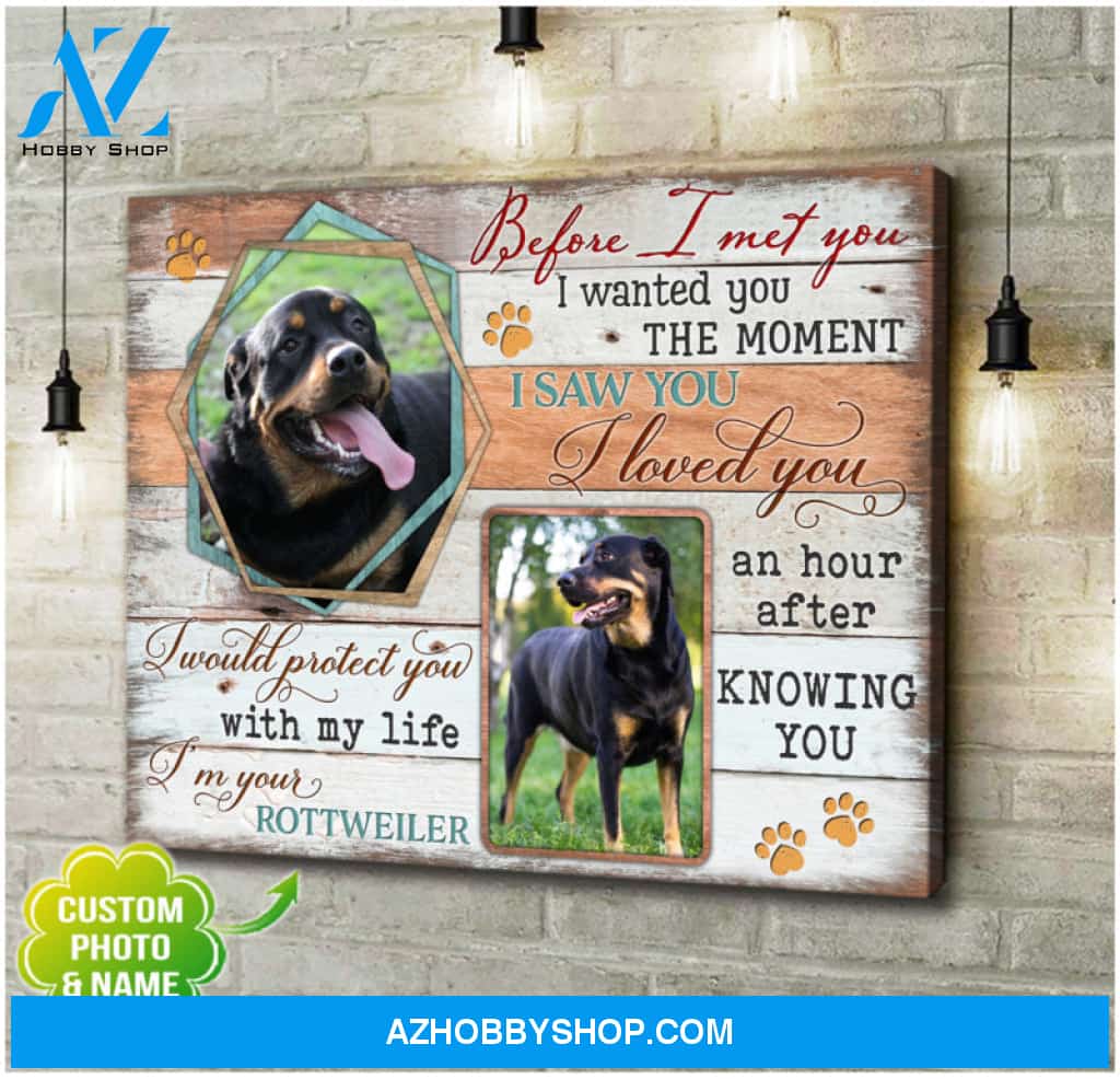 Custom Canvas Prints Personalized Pet Photo Gifts Before I Met You Wall Art Decor Ohcanvas