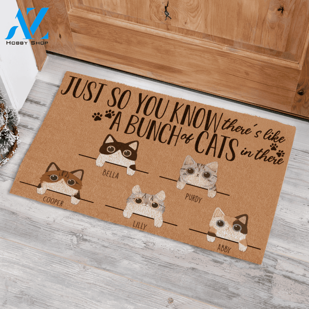 Cute Cat Just So You Know, Personalized Doormat Cat TV