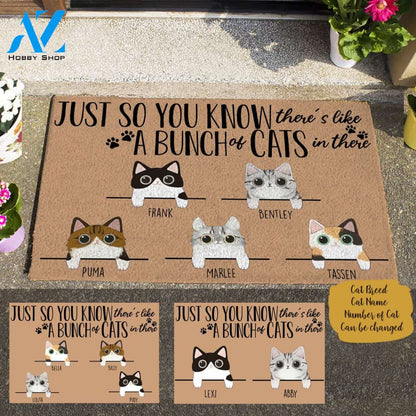 Cute Cat Just So You Know, Personalized Doormat Cat TV