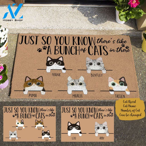 Cute Cat Just So You Know, Personalized Doormat Cat TV