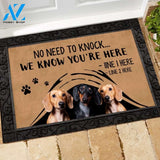 Dachshund M288 Custom Doormat All Over Printed (6228)