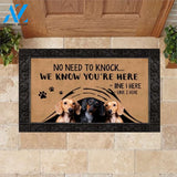 Dachshund M288 Custom Doormat All Over Printed (6228)
