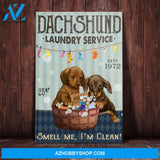 Dachshund Dog Laundry Service Canvas Wall Art, Wall Decor Visual Art