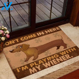 Dachshund - Don't Come In Here Doormat Indoor And Outdoor Doormat Warm House Gift Welcome Mat Birthday Gift For Friend Family